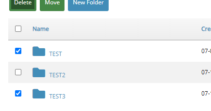 Selecting Multiple Items